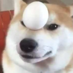 CreepyCreb