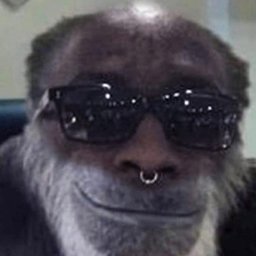 RodrigoNeSpi