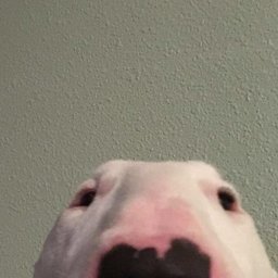 MONDJEFFF
