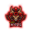 AKATSKI ESPORTS
