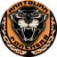 Anatolian Panthers