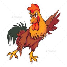 roberthinho
