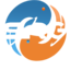 SRG Gemini