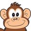 Team Monkeys