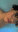 Davi Mendes21
