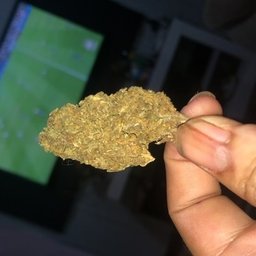 Propina