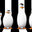 Team Pinguins