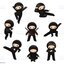 Ninjas in Mullsjö