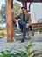 MIAN BHAI