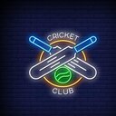 Cricket tournament 2024