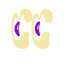 CHEAKS CREW