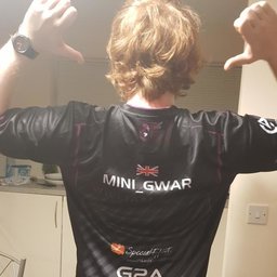 Minigwar