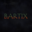 bartix117