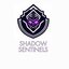 Shadow Sentinels (was deleted at: 2025-03-12T16:31:17.9662300Z)
