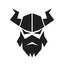 Social Welfare Vikings