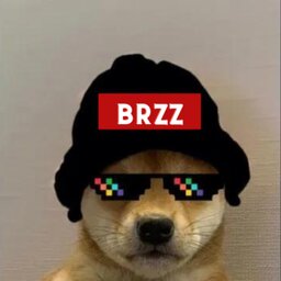 .Brzz2728