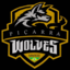 Piçarra Wolves