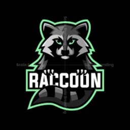 Raccoon99
