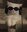 Sol8