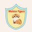 Malsta Tigers (was deleted at: 2025-11-03T13:52:03.9647320Z)