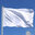 French White Flag
