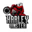 HarleyVinsterDuo (was deleted at: 2018-12-01T11:50:30.5460344Z)
