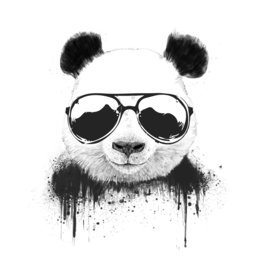 PandAries#