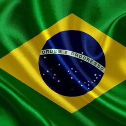 ell_brasil