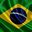 ell_brasil