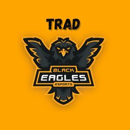 Black Eagles e-Sports