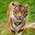 KacpeS