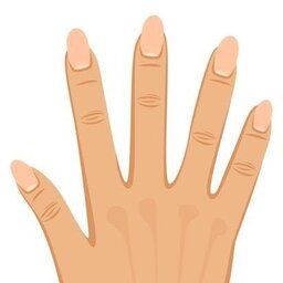 amankuamr4622@gmail.com