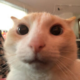 toewl
