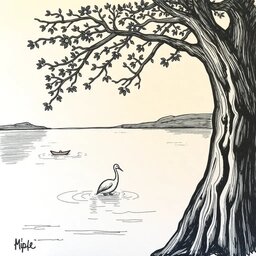 Varko_