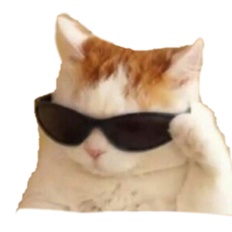 1coolcat