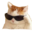 1coolcat
