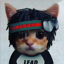 blakerT