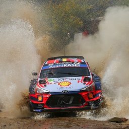 KecskesLauren?iu#4348