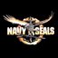 Navy Seals Esports Team (was deleted at: 2020-07-25T22:08:13.7463382Z)