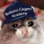 Bobovi Cegeri Academy