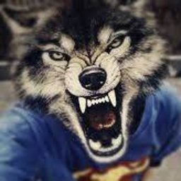 Bloodbat