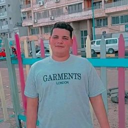 Mahmoud Sayyed El Shaarawy