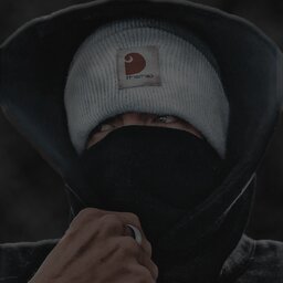 L3Goosy