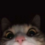 LosMichi