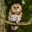 Evolution-