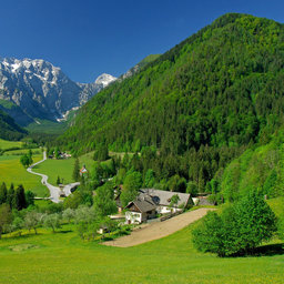 Niksterio