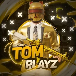 TomPlayZ YT