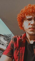Paulo Brandão0