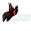 ENG0 ESPORTS TEAM TOURNAMENTS
