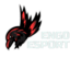 ENG0 ESPORTS TEAM TOURNAMENTS